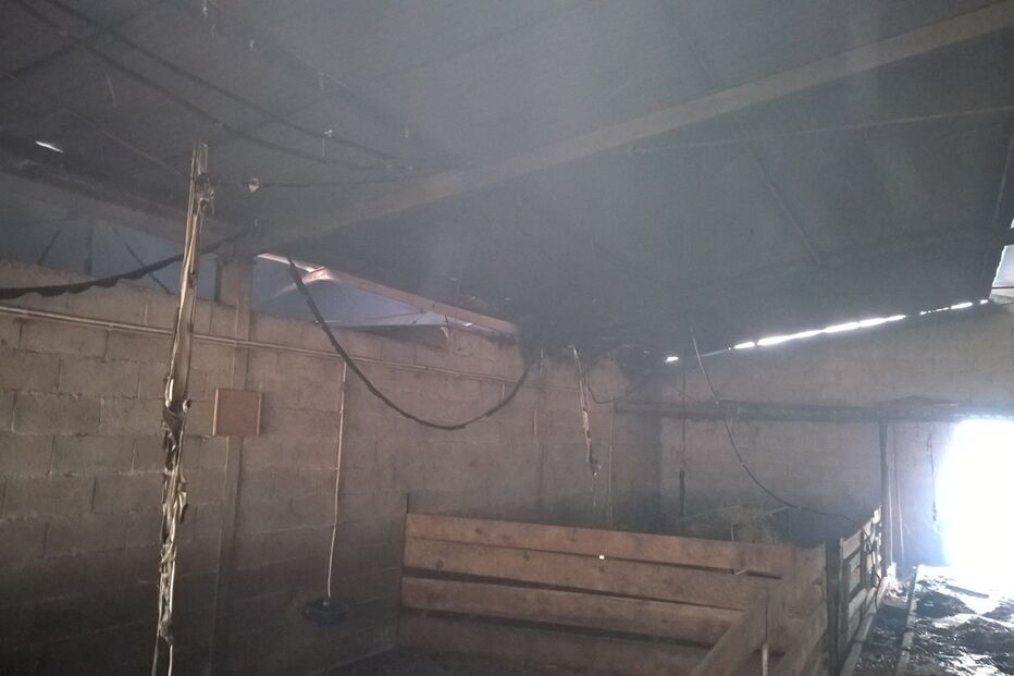 A empresa NaturApproach foi arrasada pelo fogo