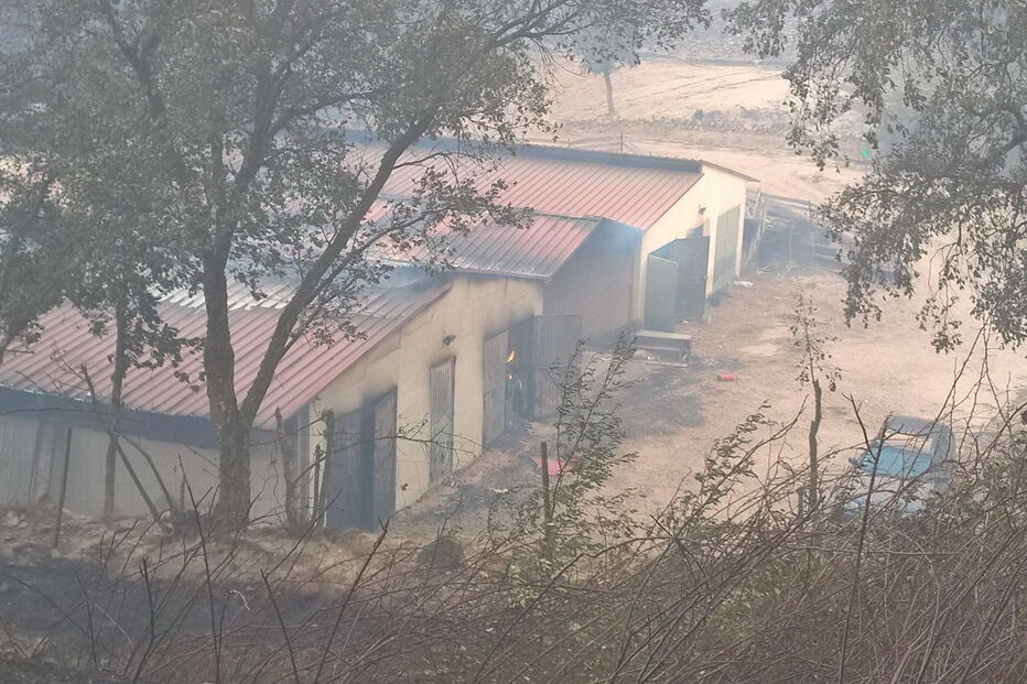 A empresa NaturApproach foi arrasada pelo fogo