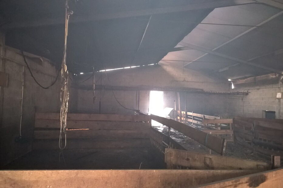 A empresa NaturApproach foi arrasada pelo fogo