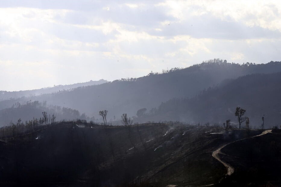 2017-10-18_13_27.46 Vista geral de uma área em Oliveira do Hospital Mariline Alves.jpg