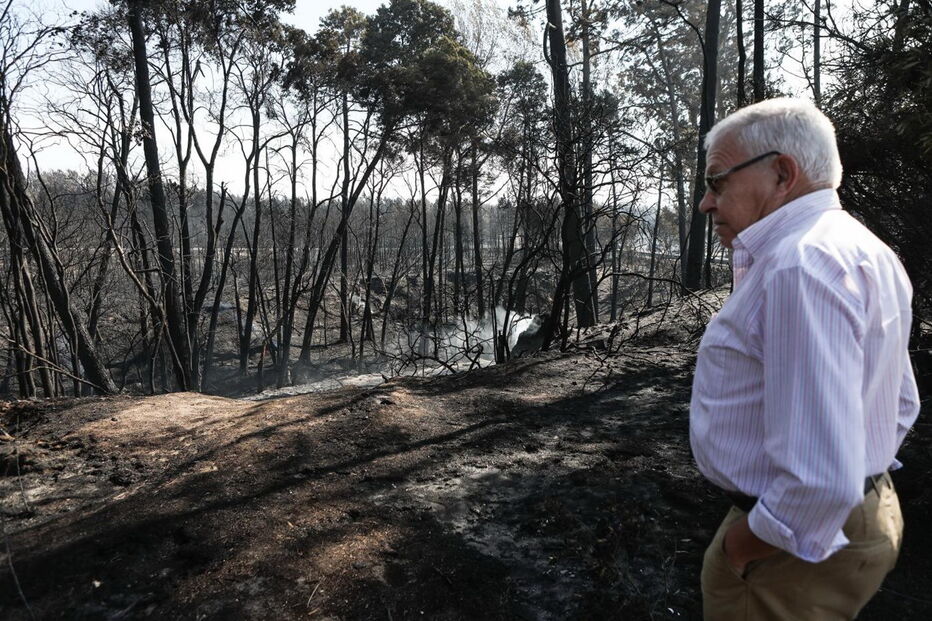 2017-10-18_13_27.48 ZONA PINHAL LEIRIA MIGUEL A. LOPES LUSA.jpg