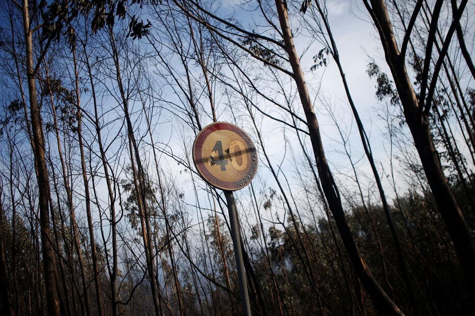 Incêndio em Penacova
