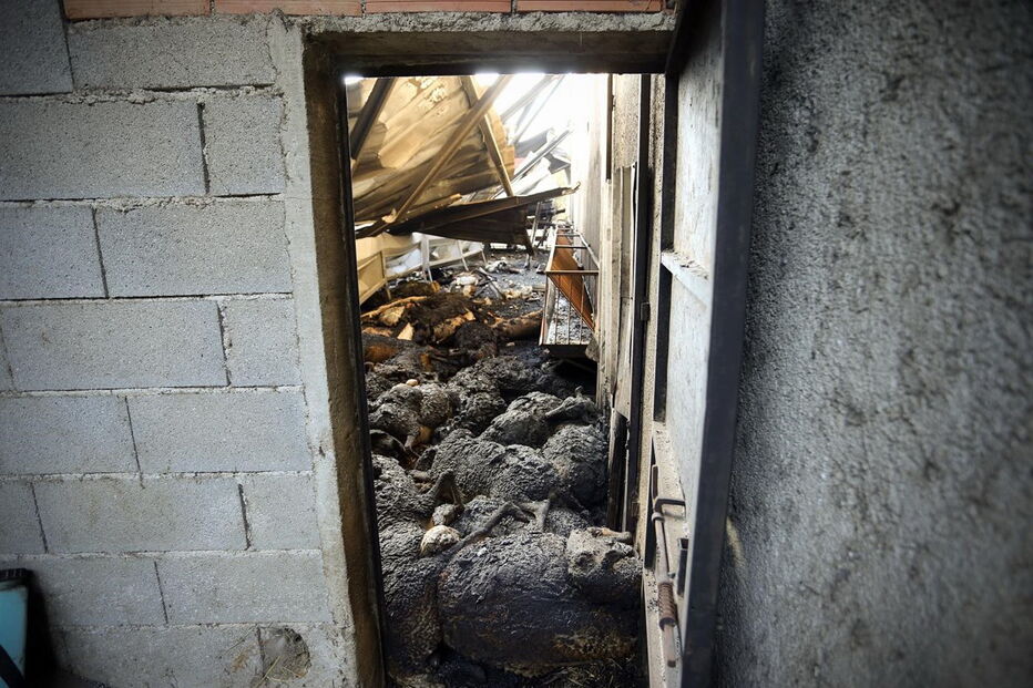 Oliveira do Hospital, incêndios