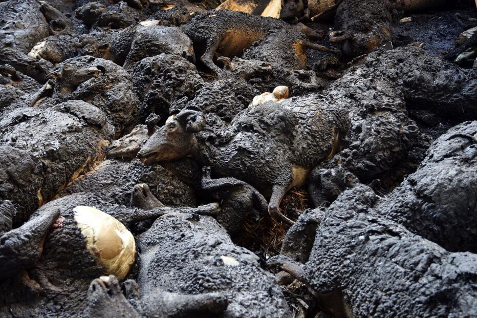 Oliveira do Hospital, incêndios