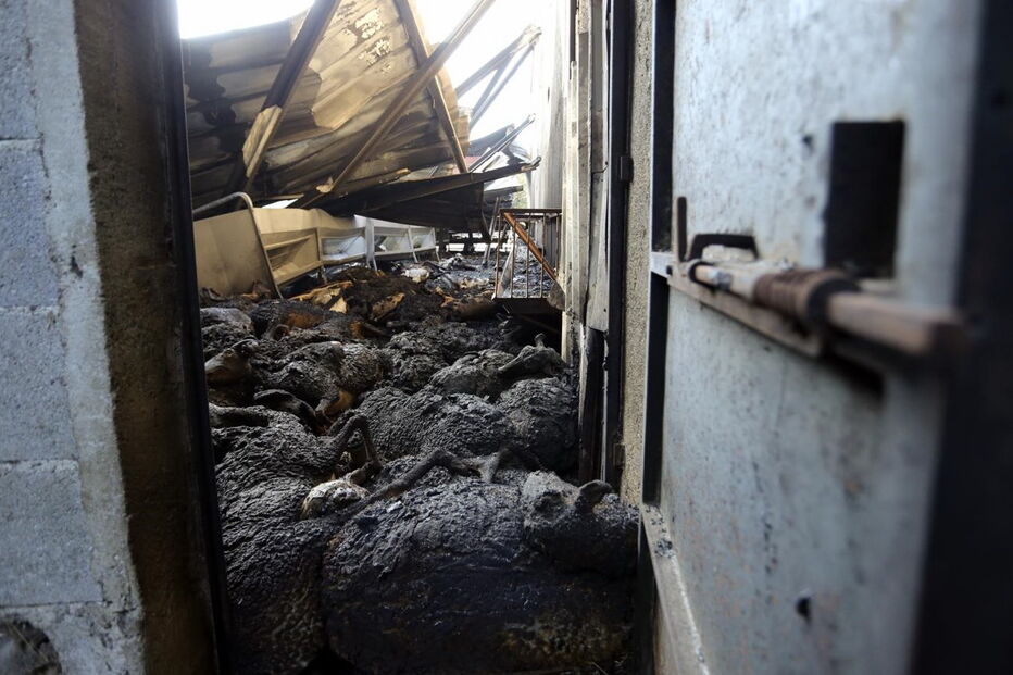 Oliveira do Hospital, incêndios