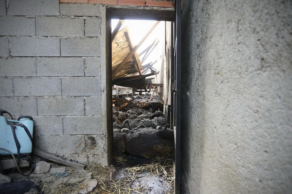 Oliveira do Hospital, incêndios