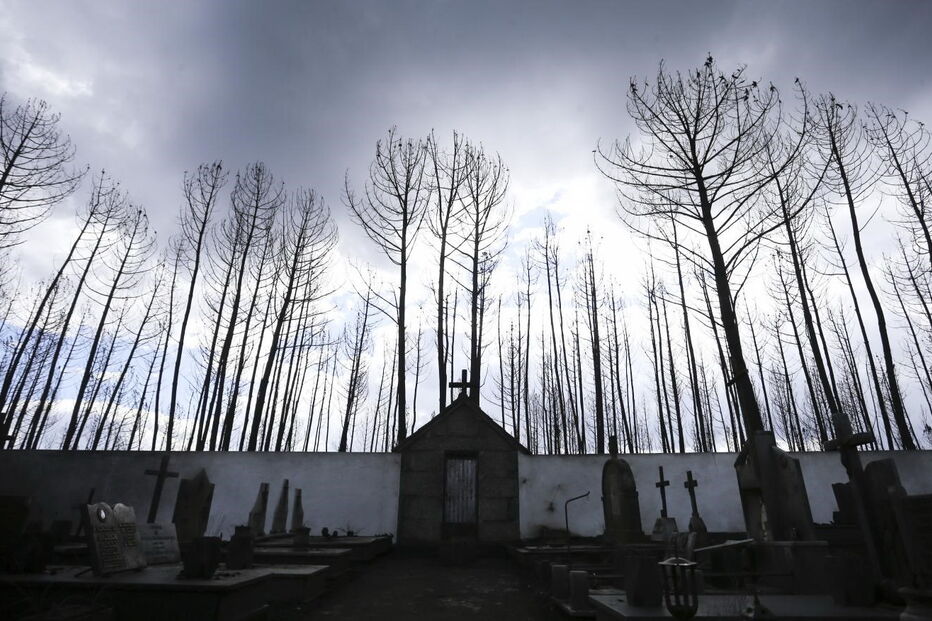 Oliveira do Hospital, incêndios