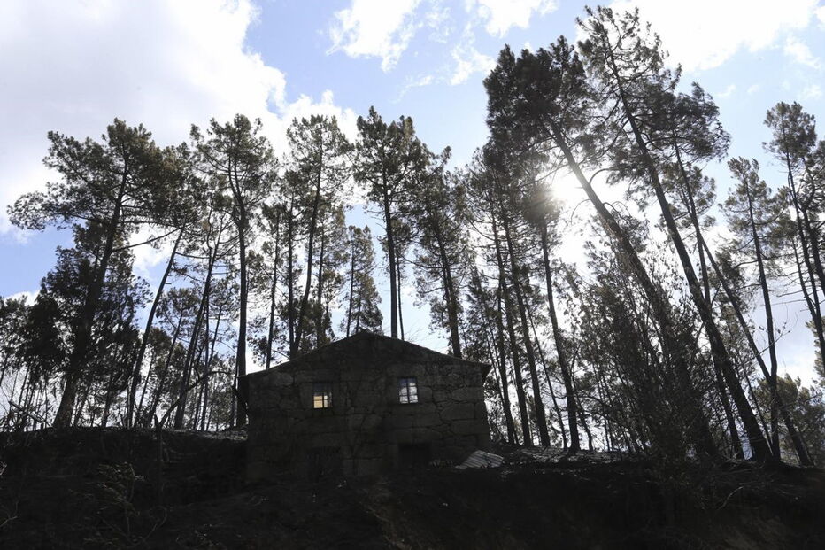 Oliveira do Hospital, incêndios