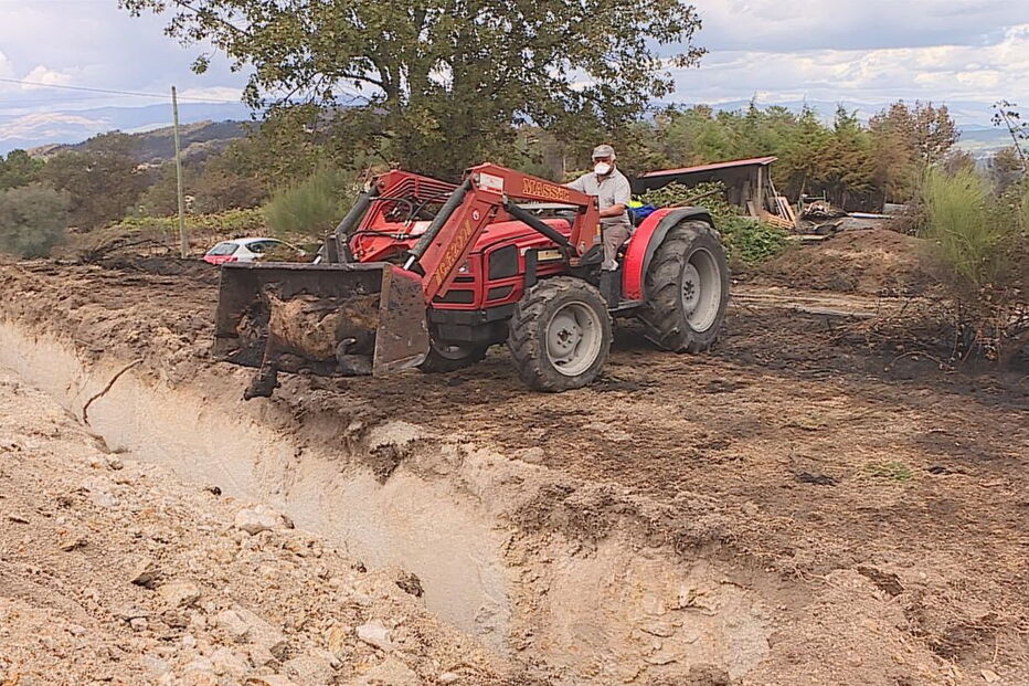Animais queimados nos incêndios de outubro de 2017