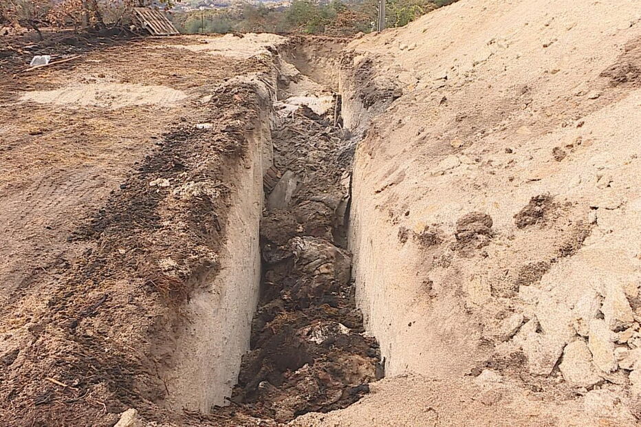 Animais queimados nos incêndios de outubro de 2017