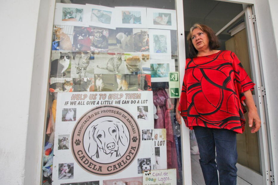 Cecília Carmo garante que o problema está em resolução