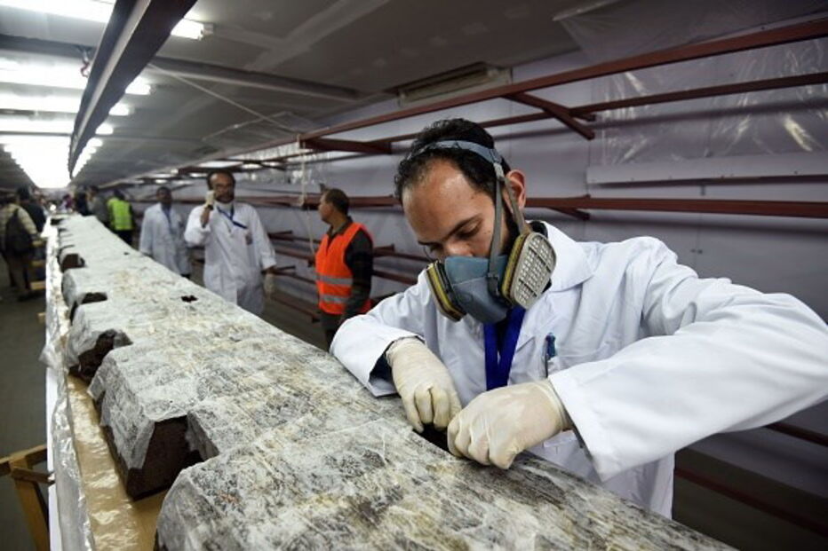 Trabalhadores temporários 