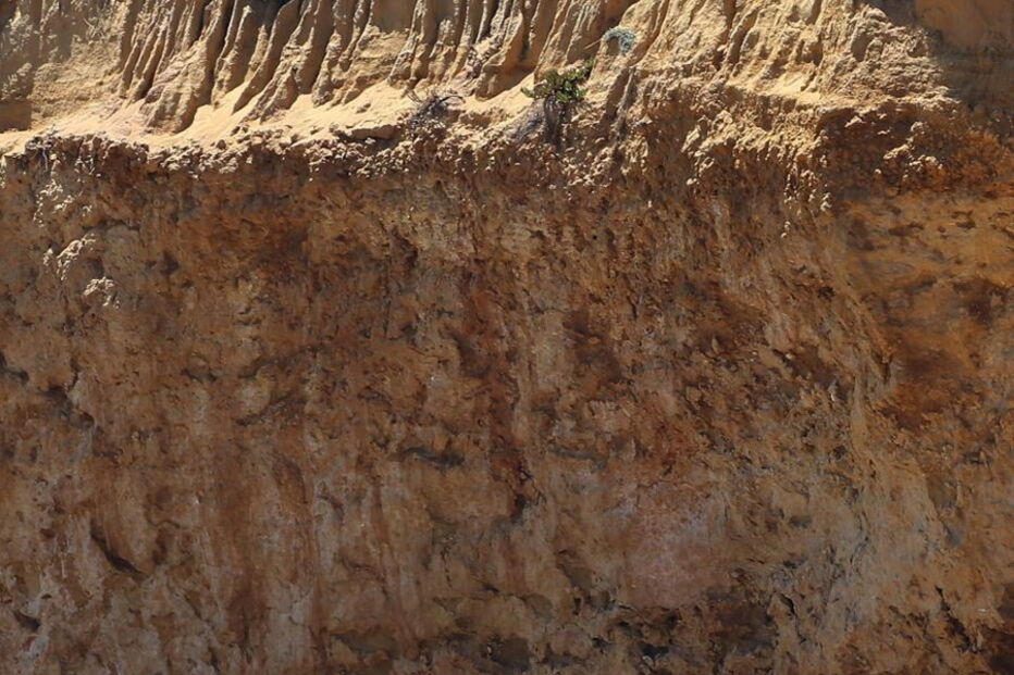 Queda de falésia que fez cinco vítimas mortais ocorreu em agosto de 2009 