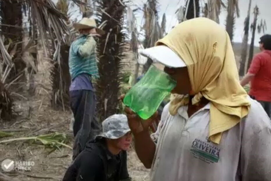 Documentário revelou escravatura na fábrica que produz cera usada nos ursinhos da Haribo