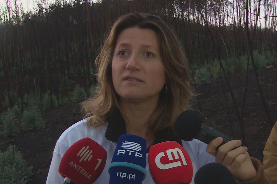 Associação de Vítimas do Incêndio de Pedrógão Grande, Lusa, Grande, Pedrógão, Nádia Piazza, Conselho de Ministros, questões sociais, músculo, apoio, financeiros, fogos, medidas, incêndios