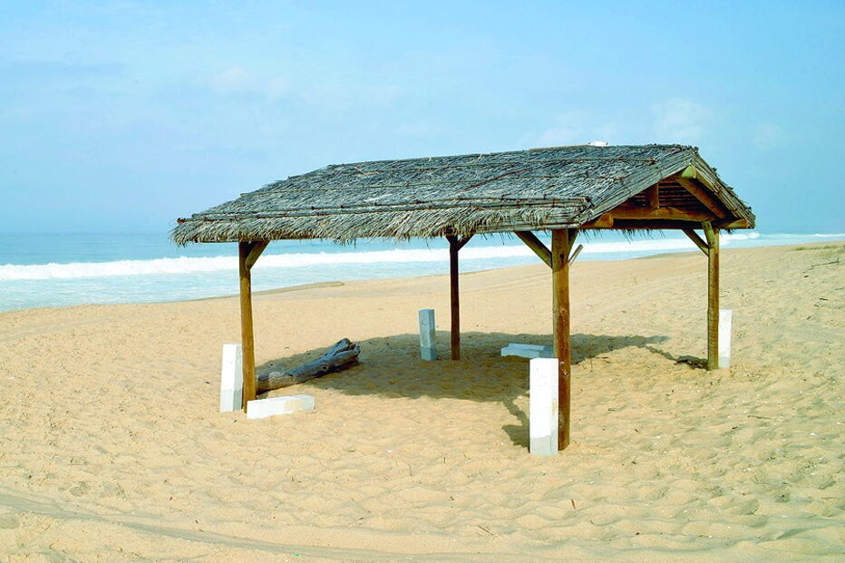 Grândola, Alentejo, cabana, Salgado, Herdade da Comporta