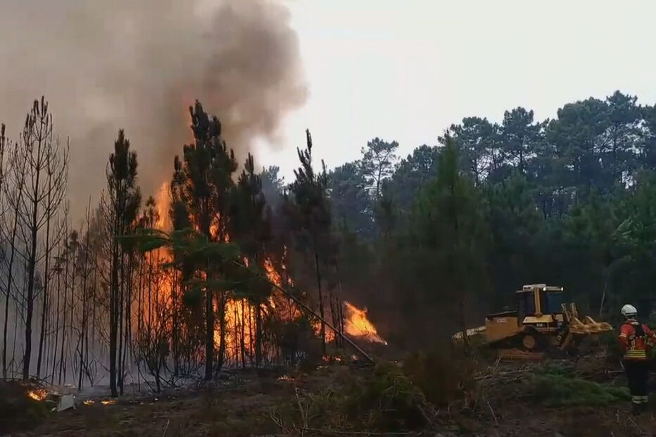 Pinhal de Leiria, herói, incêndios, redes sociais, vídeo