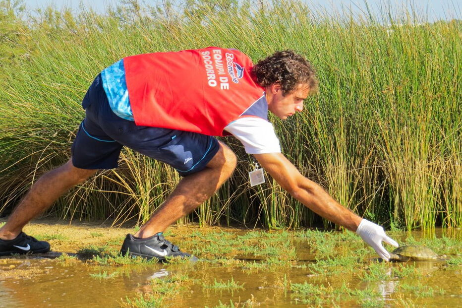 Animais foram ontem devolvidos à natureza depois de terem estado no Porto D’Abrigo do Zoomarine   