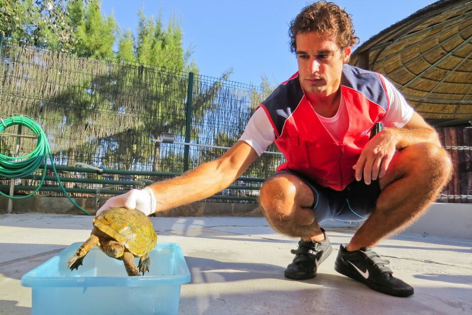 Animais foram ontem devolvidos à natureza depois de terem estado no Porto D’Abrigo do Zoomarine   