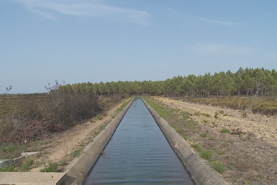 Especialistas preocupados com impactos ambientais causados pelos incêndios 