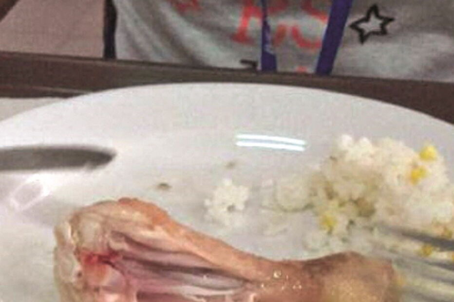 Refeições cruas e pouca quantidade de comida são algumas das queixas apresentadas pelos pais. Imagens da má qualidade das refeições foram captadas em cantinas de Oeiras, Amadora e Odivelas nos últimos dias