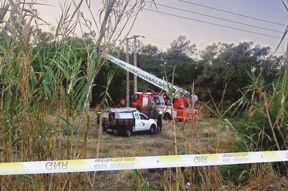 Corpo foi retirado da árvore com recurso a uma autoescada, depois de a EDP desligar a corrente elétrica        