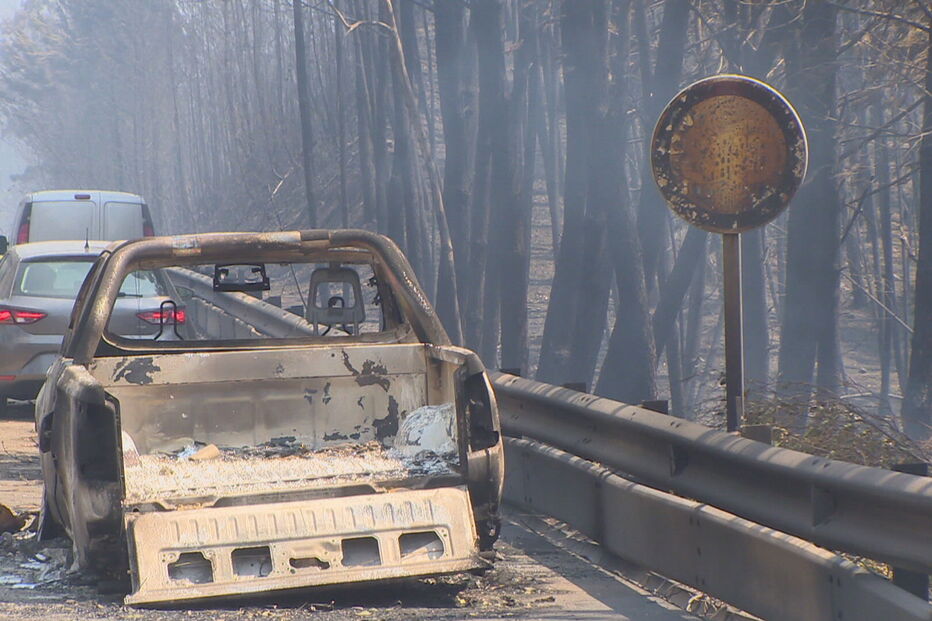 Estragos causados pelo incêndio de Pedrógão Grande