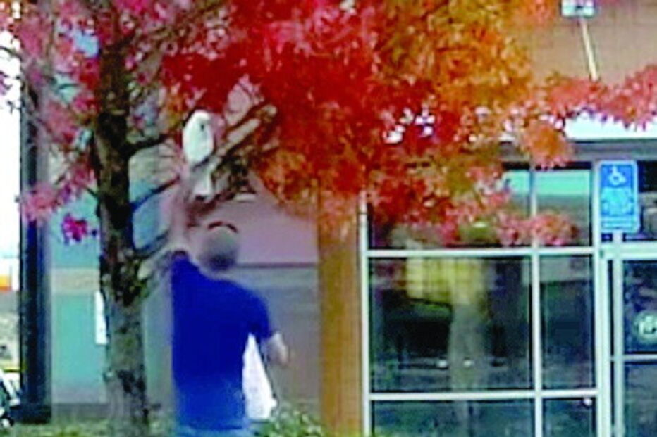 catatua, estacionada, EUA, restaurante, Oregon