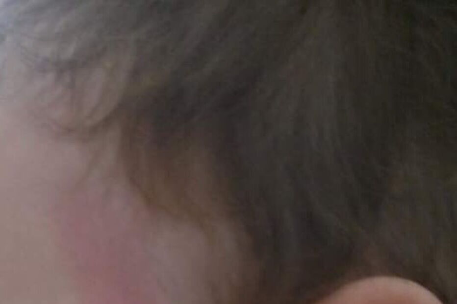 O Despertar, maus-tratos, bebés, funcionárias, Cáritas, faro, algarve