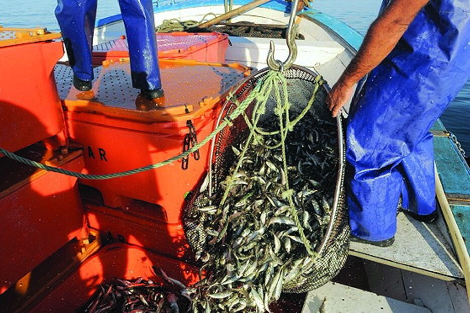 Dados podem ser usados na pesca   