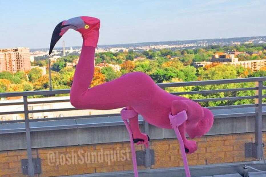 Josh Sundquist, Halloween