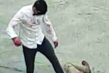 Irmãos com cadastro foram filmados por moradores a pontapearem na cabeça e no tronco um jovem de 24 anos, que não reage. Vítima ficou em estado grave    