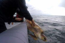 2017-11-06_09_31.33 14931642.JPG