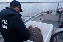 2017-11-06_09_31.33 14931697.JPG