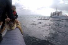 2017-11-06_09_31.34 14931698.JPG