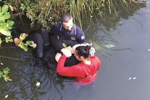 jovem, torres novas, morte, suicídio, Nádia Carvalho