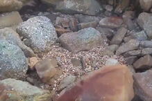 Nascente do Rio Douro está seca, sem uma única gota de água