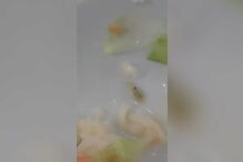 Aluna filma lagarta viva em salada da cantina