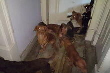 2017-11-08_16_37.56 caes.PNG