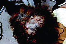 Pedro Dias, Aguiar da Beira, Cadeia de Monsanto, julgamento, vítimas