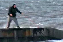 Homens atiram cães para mar gelado 