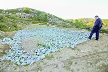 seca, água, chuva, Viseu