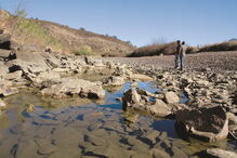 seca, água, chuva, Viseu