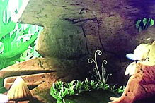 2017-11-12_21_57.54 Imagem 40c.jpg