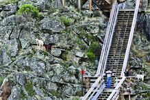 Arouca, viagem, destino, Aveiro, viagens, férias