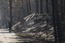 Devastação deixada pelos fogos no Pinhal de Leiria