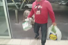 Porco passeou por supermercado de Alcochete