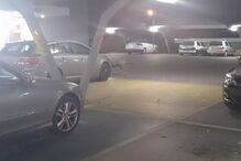 Porco passeou por supermercado de Alcochete