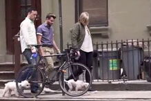 homossexuais, Nova Iorque, EUA