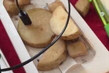 Caixa do iPhone continha pedaços de batata